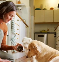 Pedigree Dry Dog Food