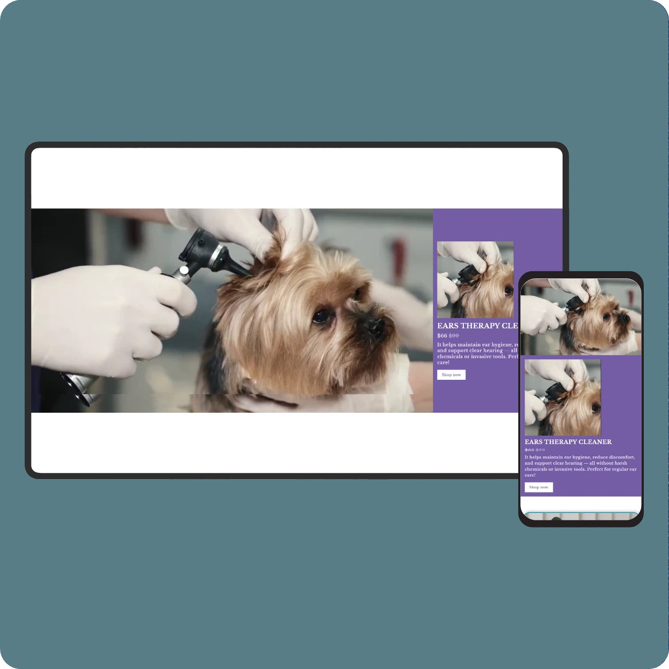 Iconic - Video product #1