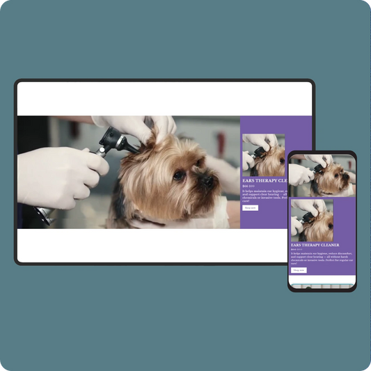 Iconic - Video product #1