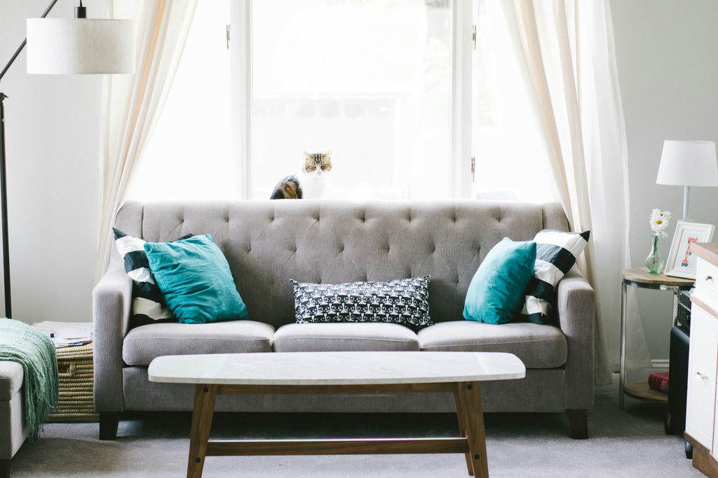 Minimal Lounge Sofa