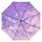 Twilight Travel Umbrella